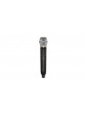 GLXD24+ con Beta 87A Sistema Wireless