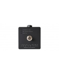 Pedal inteligente 2