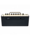 Yamaha THR10II