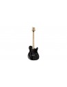 NF53 Pelo de perro negro