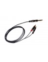 ITST/JS2RCA-2 JS 6.3/2xRCA 2m