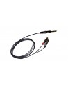 ITST/JS2RCA-2 JS 6.3/2xRCA 2m
