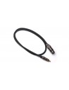 ITST/FRCA-1 XLR F/RCA 1mt