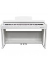 Echord DPX-100 Digital Piano Gloss White