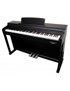 Echord DPX-100 Piano... 2