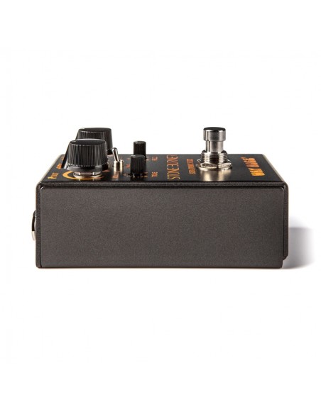 WM81 Smalls Steinbrenner Sub Atomic Fuzz
