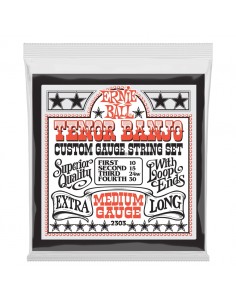 Ernie Ball 2303 Banjo...