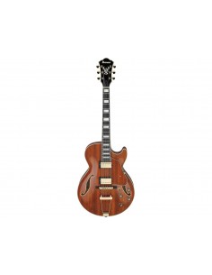 Ibanez AG95KNT