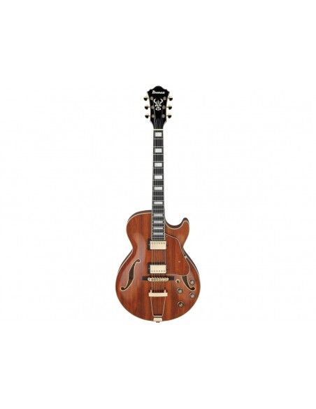 Ibanez AG95KNT