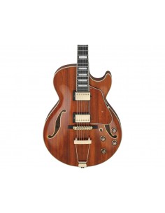 Ibanez AG95KNT 2