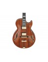 Ibanez AG95KNT
