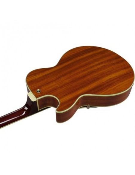 Ibanez AG95KNT
