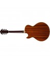 Ibanez AG95KNT