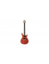 SE Custom 24-08 Orange 2024