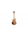 Guitarra de carbón SE Paul