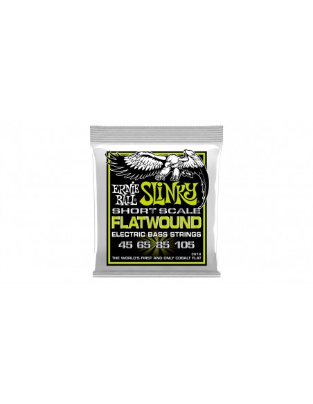 2818 Slinky Short Scale Flatwound El Bass 45-105