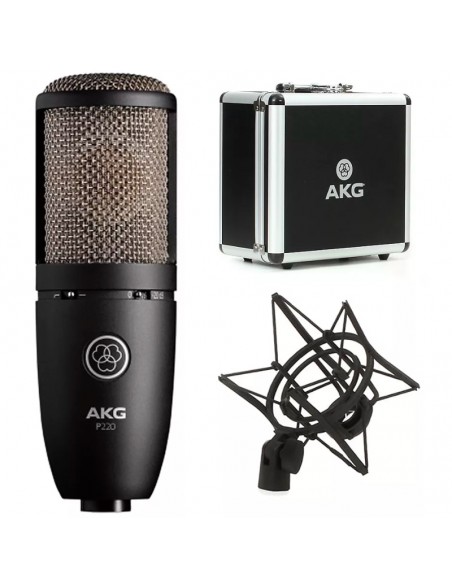 AKG P420