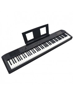 Echord DP-1