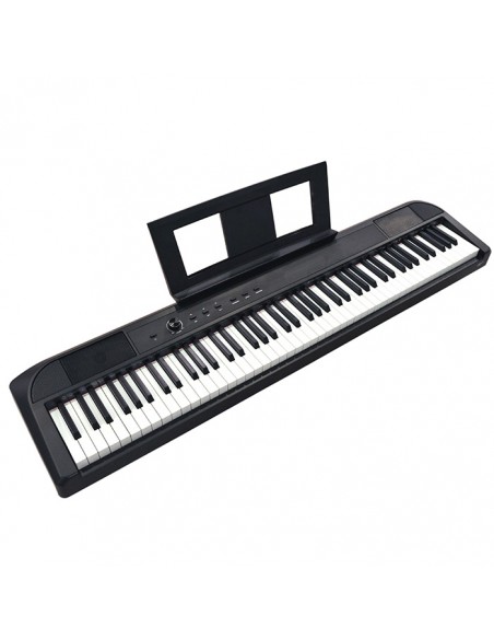 Echord DP-1