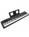 Echord DP-1