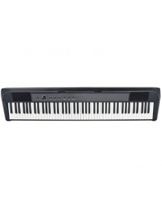 Echord DP-1 2