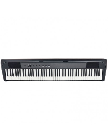 Echord DP-1