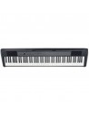 Echord DP-1
