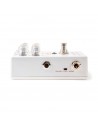 M309 Joshua Ambient Echo