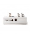 M309 Joshua Ambient Echo
