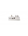 M309 Joshua Ambient Echo