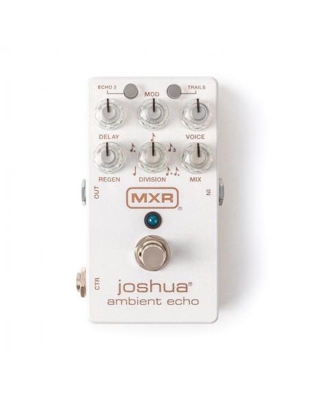 M309 Joshua Ambient Echo