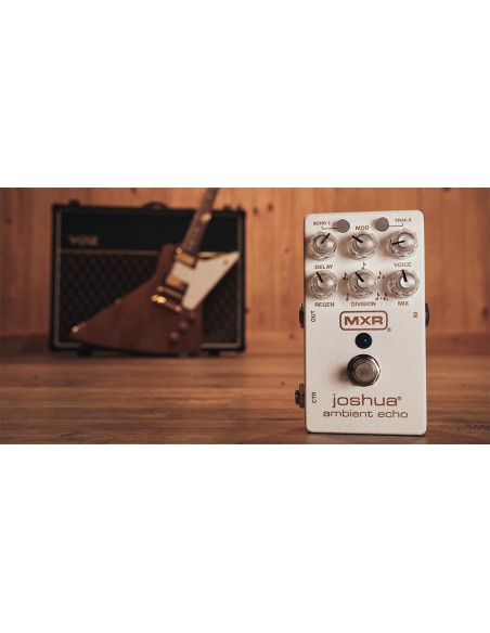 M309 Joshua Ambient Echo