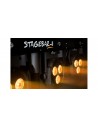STAGEBAR-II DMX LED Par Lighting Set