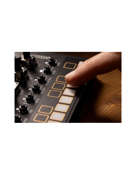 NUTEKT NTS-1 MKII