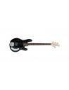 RAY4 Trans Black Satin