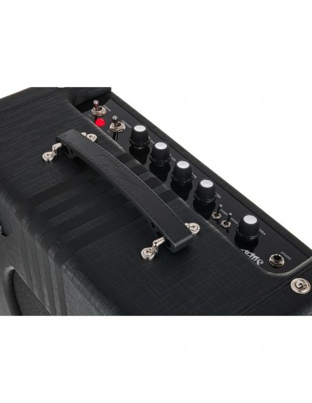 Supro Delta King 10 Black & Black OFFERTISSIMA