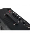 Supro Delta King 10 Black & Black OFFERTISSIMA