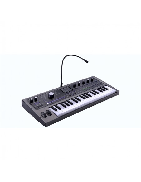 MICROKORG 2 standard