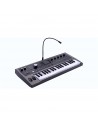 MICROKORG 2 estándar