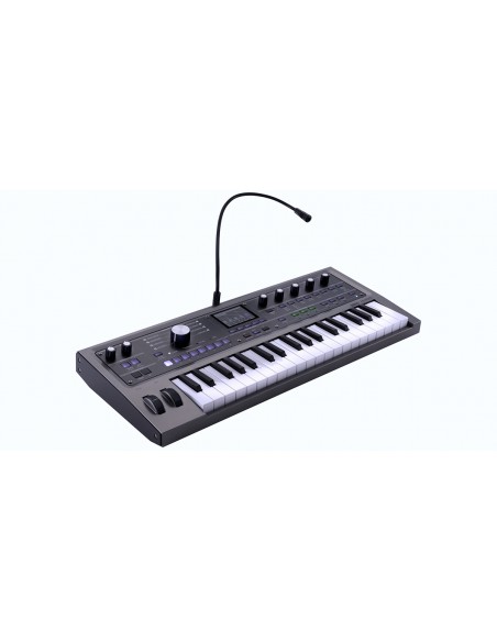 MICROKORG 2 estándar