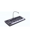 MICROKORG 2 estándar