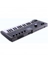 MICROKORG 2 estándar