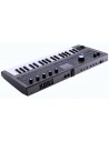 MICROKORG 2 estándar
