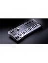 MICROKORG 2 estándar