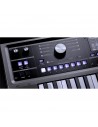 MICROKORG 2 estándar