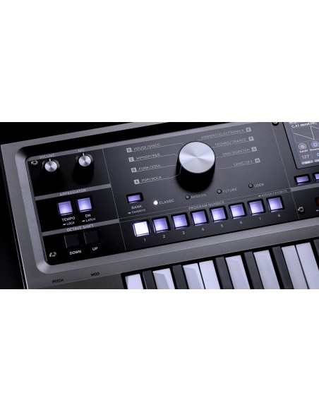 MICROKORG 2 estándar