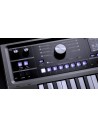MICROKORG 2 estándar