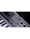 MICROKORG 2 estándar