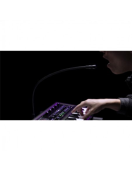 MICROKORG 2 estándar