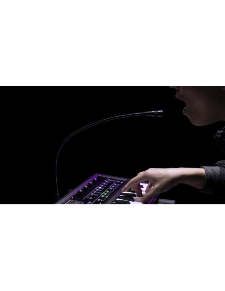 MICROKORG 2 standard